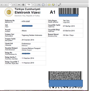 Cara Membuat Visa Turki Secara Online